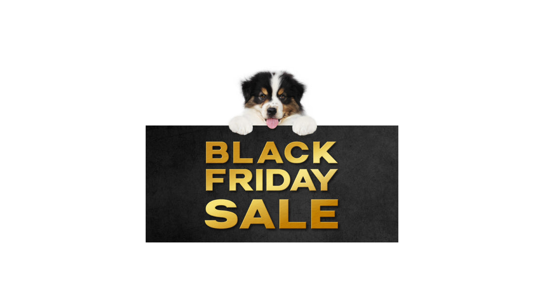 Black Friday bij DoxieWorld: 20% korting op alles!