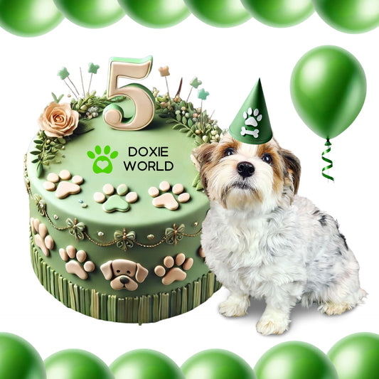 🎉 Hoera, doxieworld.nl is 5 jaar! 🎉